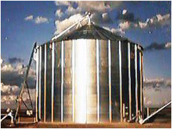 Grain Bins